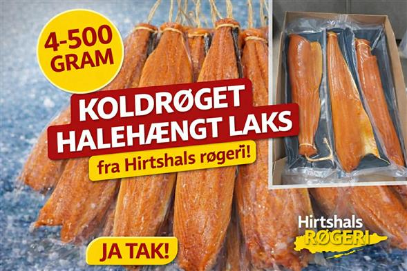 Halehængt koldrøget laks