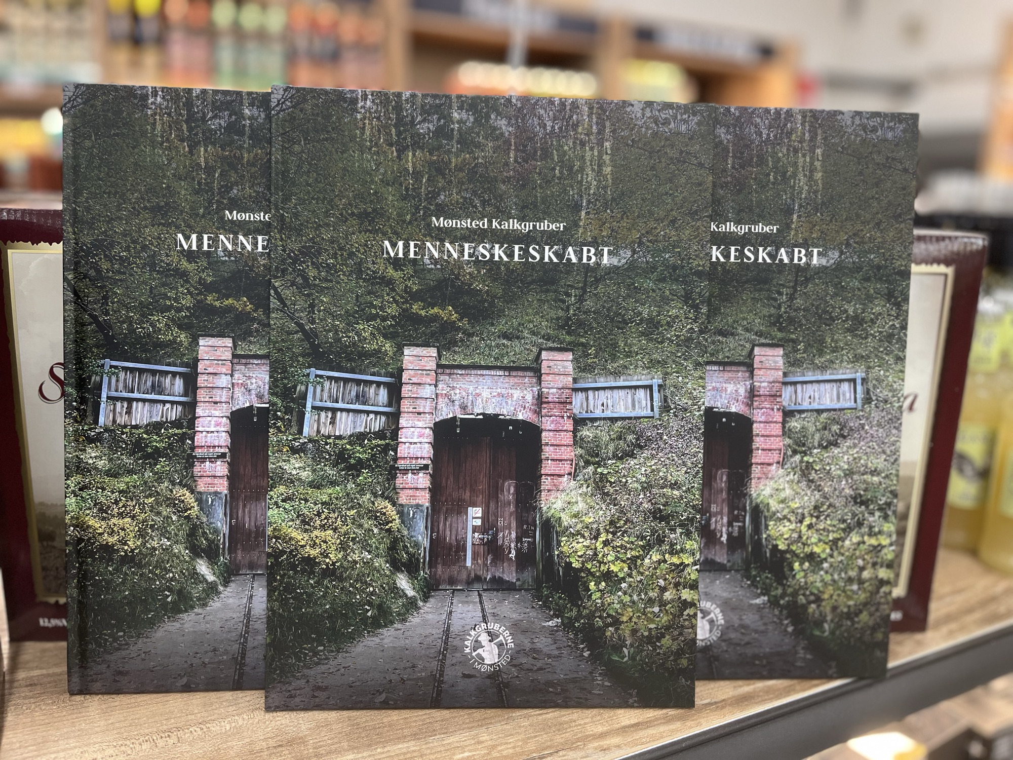 BOGEN OM MØNSTED KALKGRUBER! ✨📚