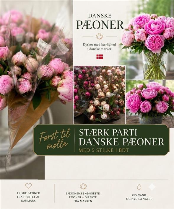 DANSKE FRILANDS PÆONER ✨🌸